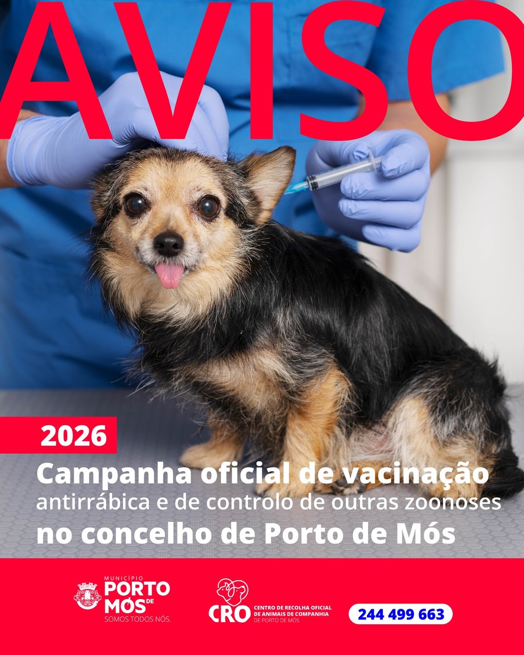 Vacina&ccedil;&atilde;o antirr&aacute;bica